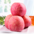 Chinesischer Shandong frischer roter saftiger Fuji-Apfel